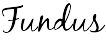 Fundus