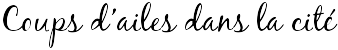 Coups d'ailes dans la cité