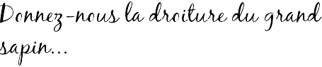 Donnez-nous la droiture du grand sapin...