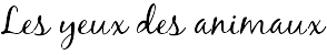 Les yeux des animaux