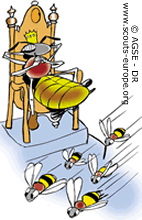 abeilles abeilles