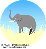 motif éléphant motif éléphant