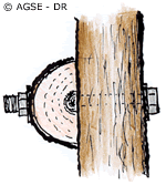 Immobilisation des assemblages - boulon Immobilisation des assemblages - boulon