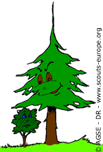 un arbre peut faire de l''ombre à un autre un arbre peut faire de l''ombre à un autre