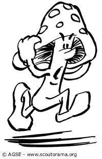 champignon champignon