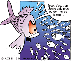 poissons poissons