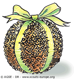 pomme d'ambre 3 pomme d'ambre 3