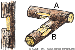 Mis-bois et tiers-bois - assemblage Mis-bois et tiers-bois - assemblage