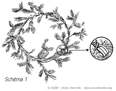 couronne avent schema1 couronne avent schema1