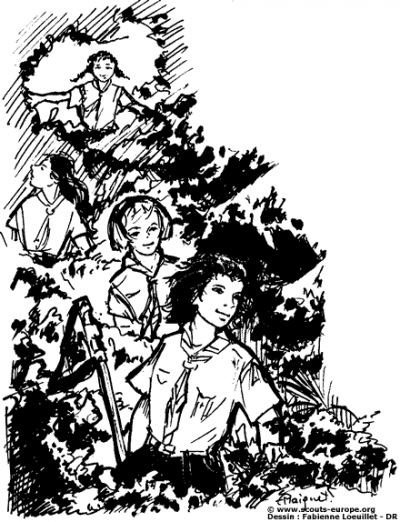 Promenade Foret